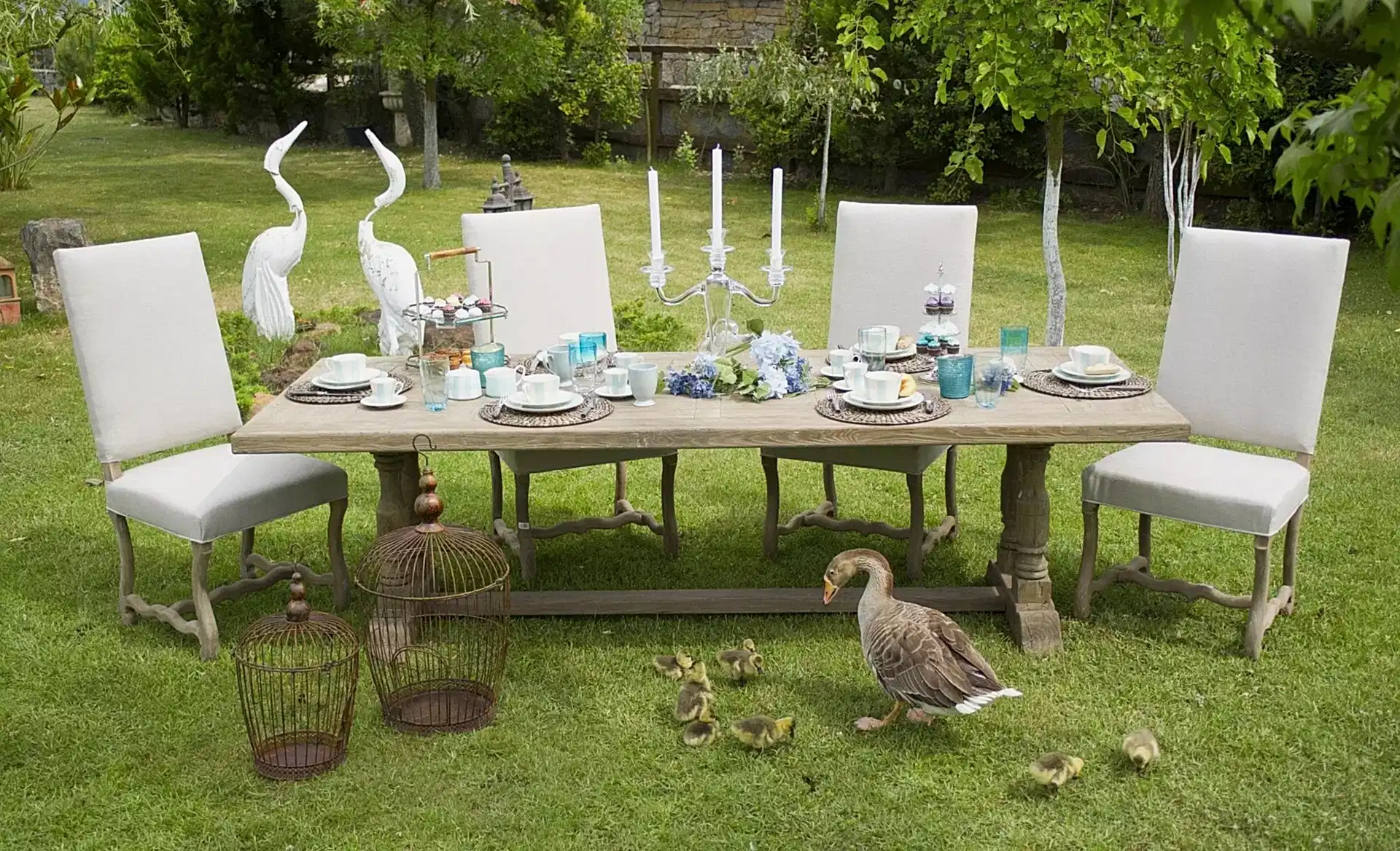 Garden Features and Furniture