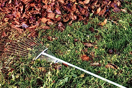 6 top autumn lawn care tips