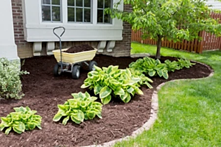Why mulching works and how to do it