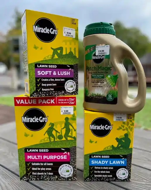 Grass Seed and Patch Magic