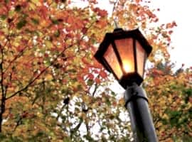 Automatic garden lighting