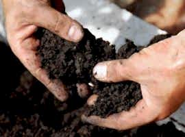 Soil and fertilisers