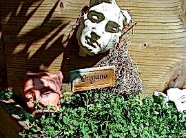 Making a herb garden